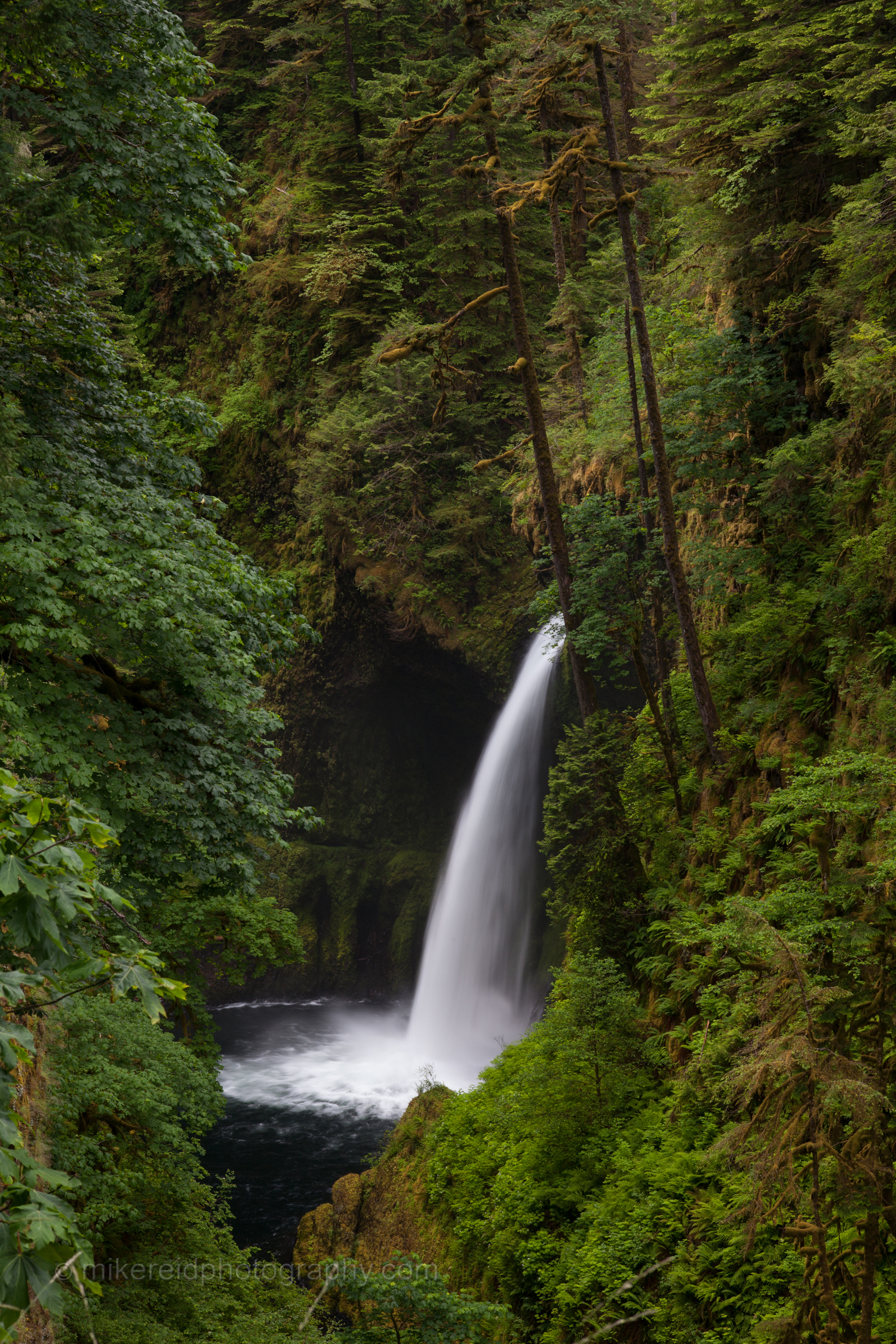 Oregon Metlako Falls